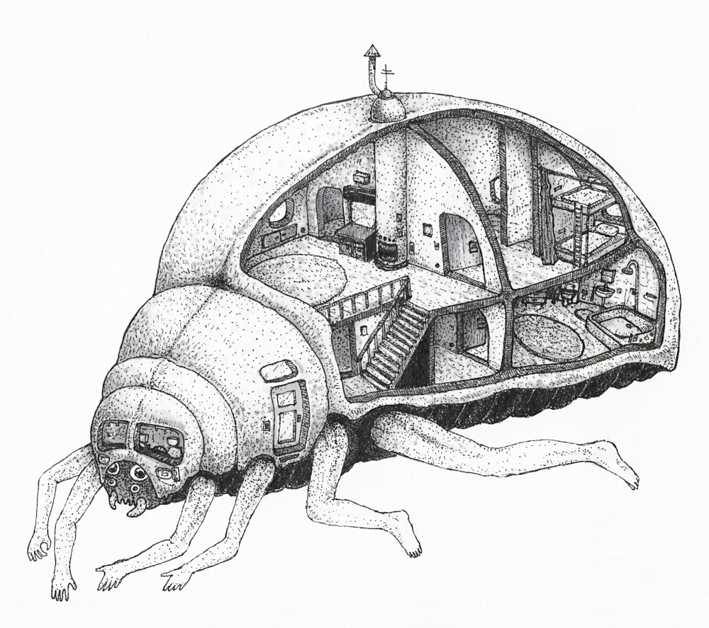 vw beetle